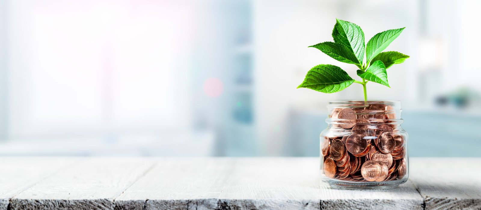 A glass jar filled with copper coins with a green leafy seedling growing out of it, sitting on a white wooden table against a blurred bright background.