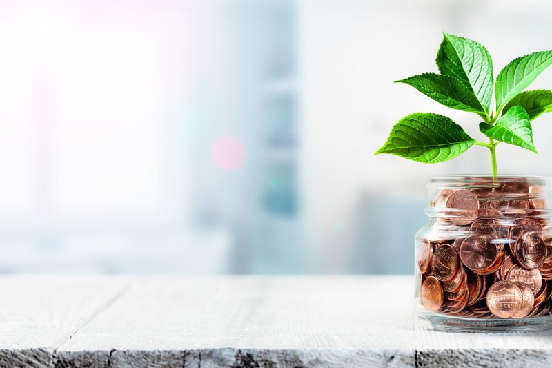 A glass jar filled with copper coins with a green leafy seedling growing out of it, sitting on a white wooden table against a blurred bright background.